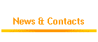 News & Contacts
